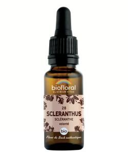 Scléranthe - Scléranthus (n°28) BIO, 20 ml